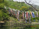 DSC03017