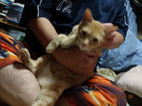 DSC01148