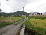DSC01293