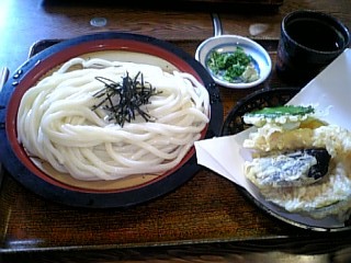 6103227d.jpg