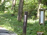 DSC01251