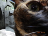 DSC02608