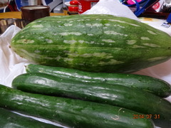 DSC00270