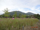 DSC01266