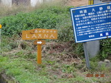 DSC01300