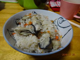 DSC03698